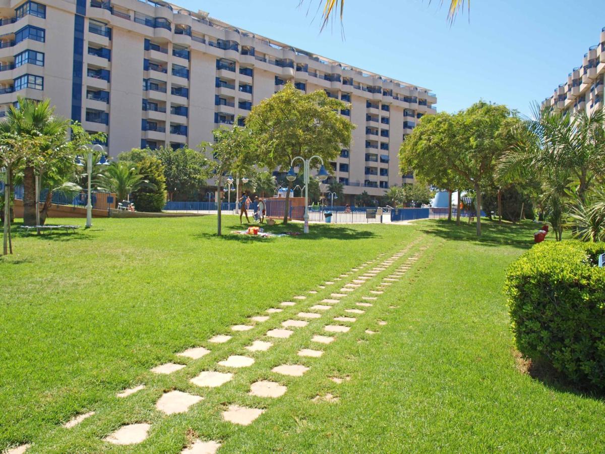 Patacona Breeze *